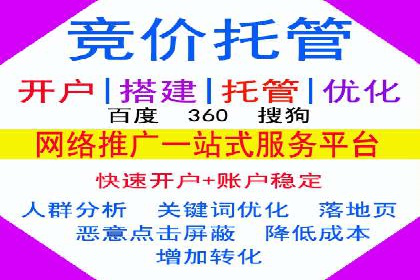 百度竞价广告投放成功案例解析